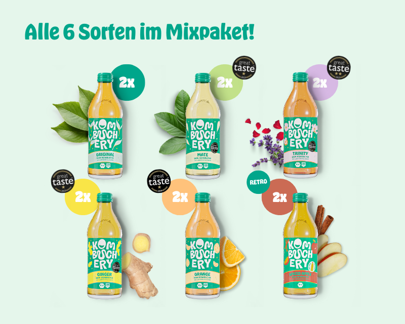 Kombucha Mixpaket 12x 330ml